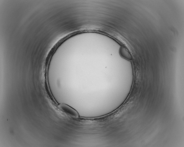 X0000112081124200909011038