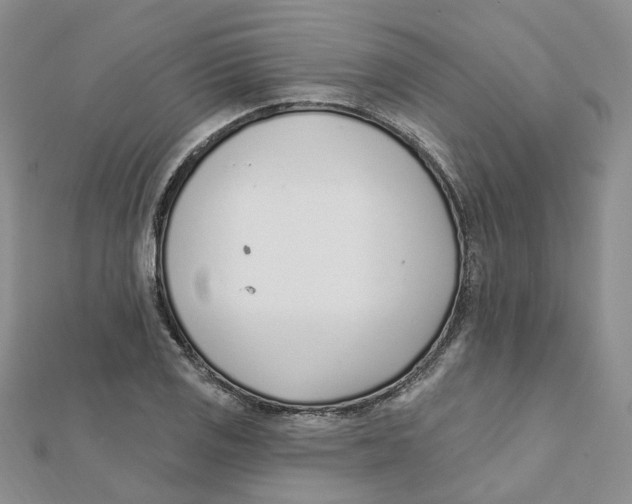 X0000112081125200909011038