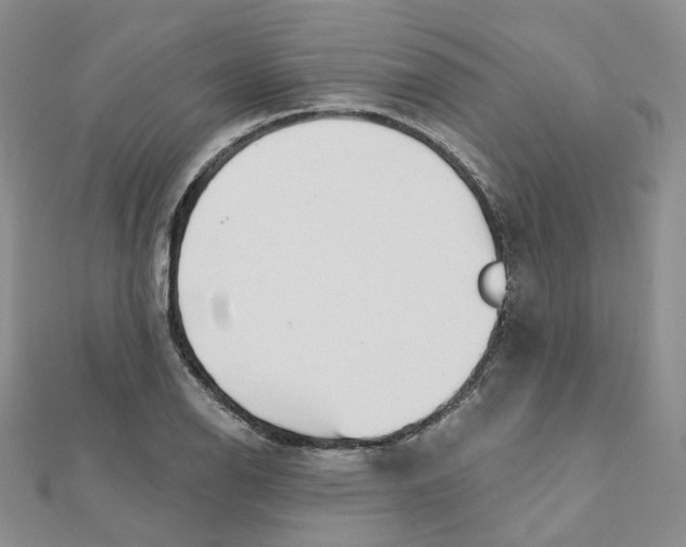 X0000112081126200909011038