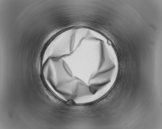 X0000112081127200909011038