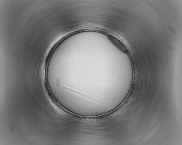 X0000112081128200909011038