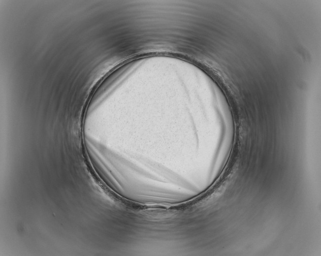 X0000112081129200909011038