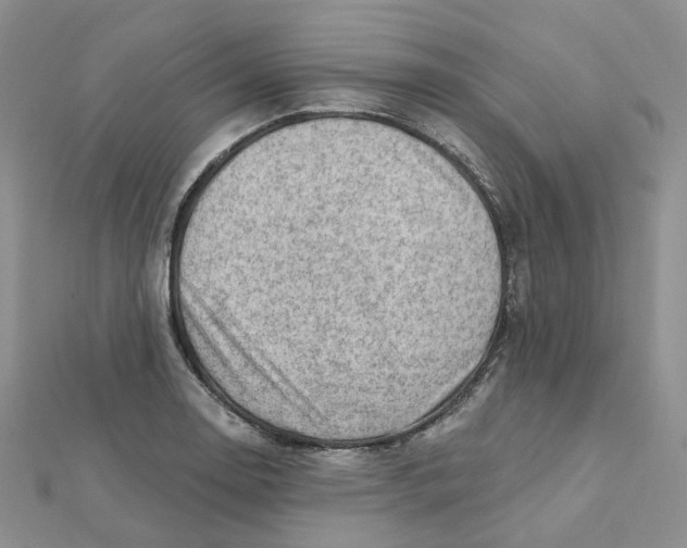 X0000112081130200909011038