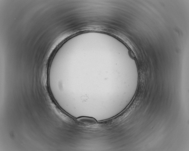 X0000112081131200909011038