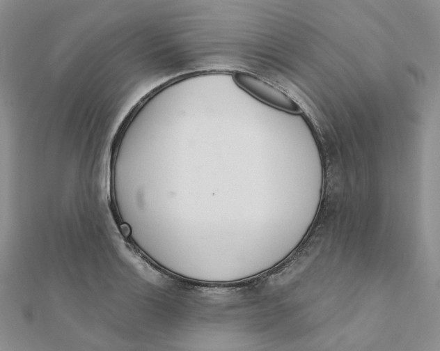 X0000112081132200909011038