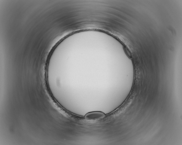 X0000112081134200909011038