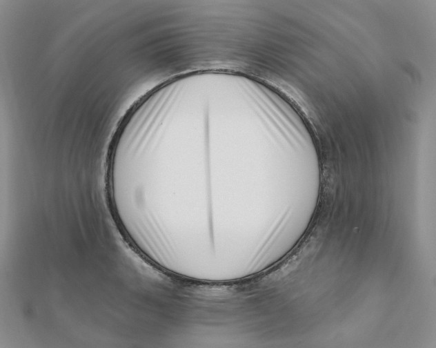 X0000112081135200909011038