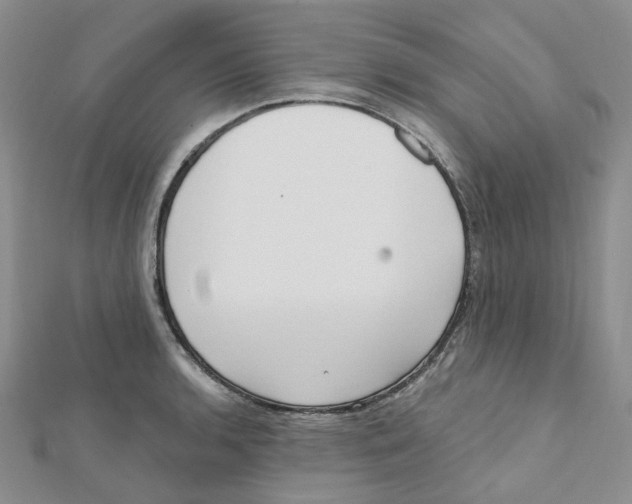 X0000112081136200909011038