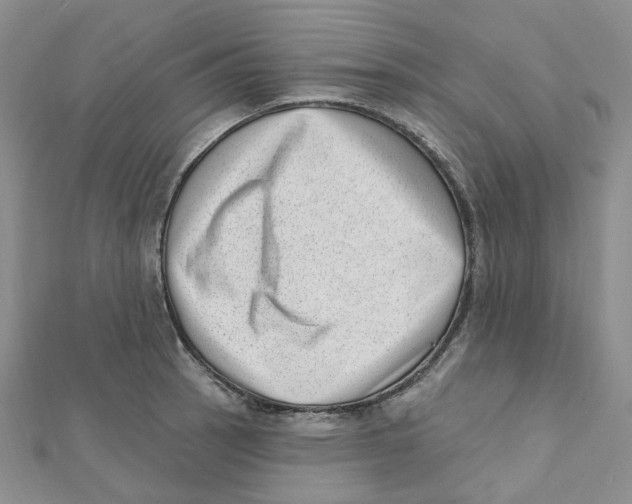 X0000112081137200909011038
