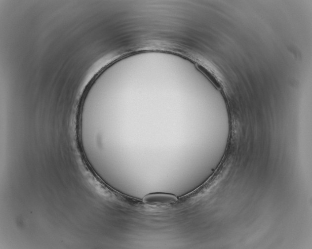 X0000112081138200909011038