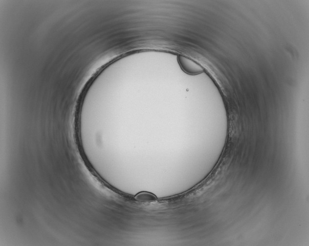 X0000112081139200909011038