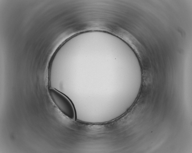 X0000112081140200909011038