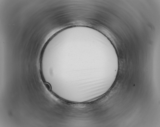 X0000112081141200909011038