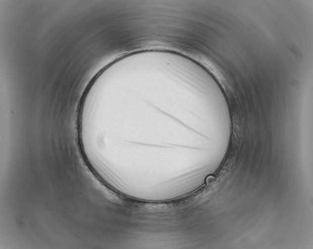 X0000112081142200909011038