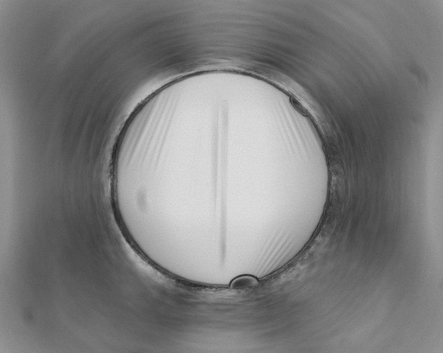 X0000112081143200909011038