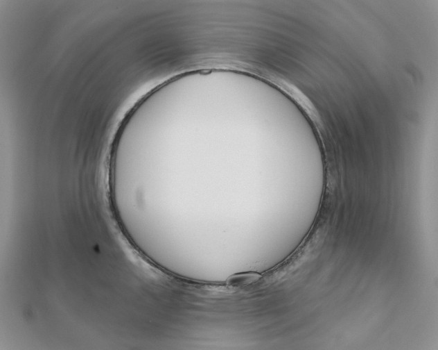 X0000112081144200909011038