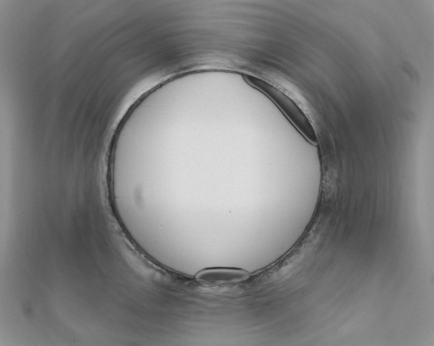 X0000112081146200909011038