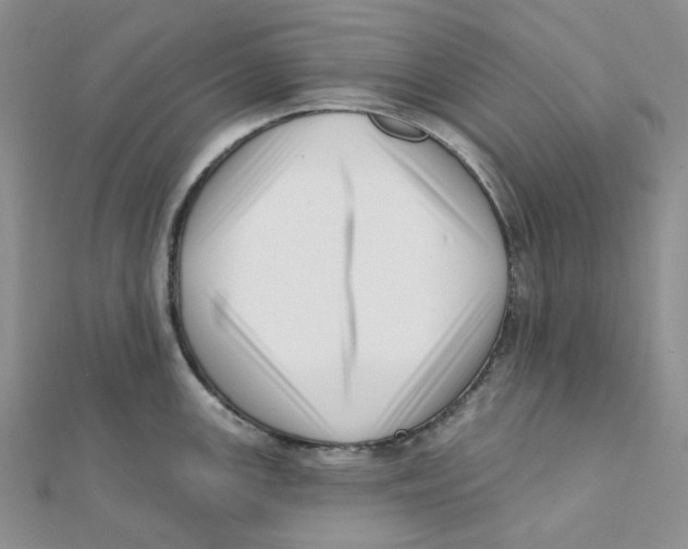 X0000112081147200909011038