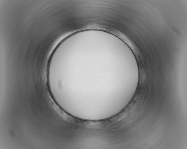 X0000112081148200909011038