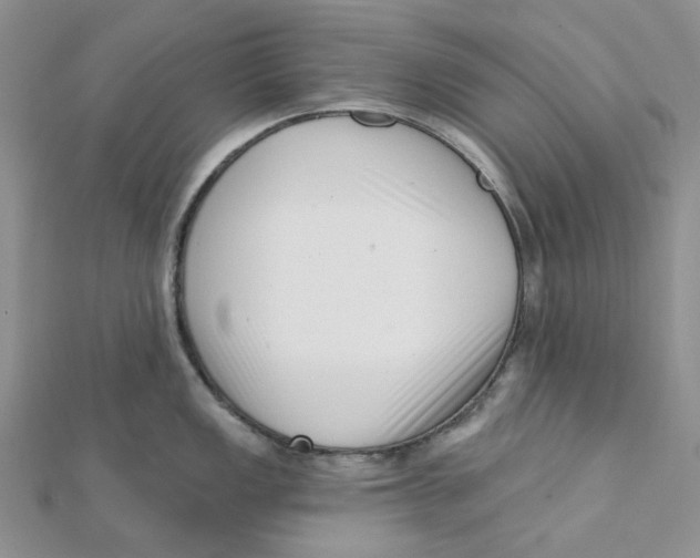 X0000112081149200909011038