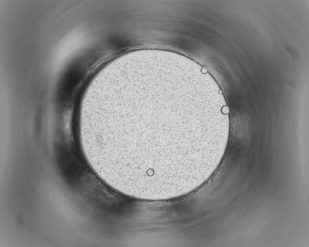 X0000112081150200909011038