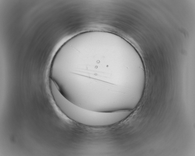 X0000112081152200909011038