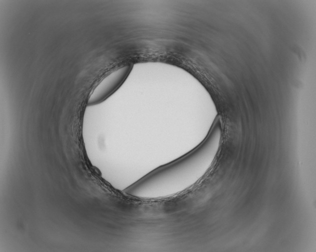 X0000112081153200909011038