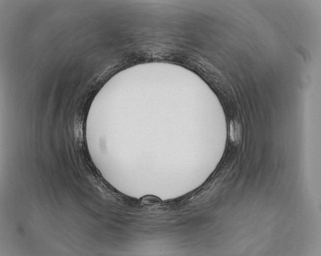 X0000112081155200909011038