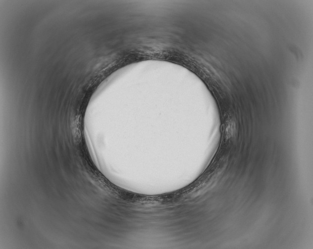 X0000112081156200909011038
