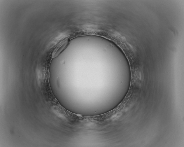 X0000112081157200909011038