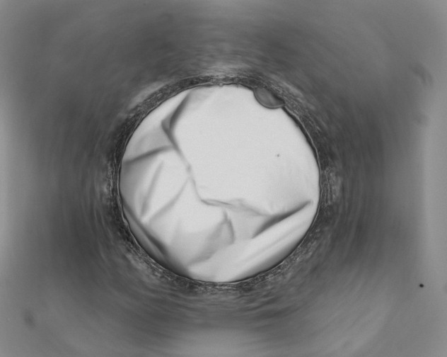 X0000112081158200909011038