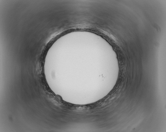 X0000112081160200909011038