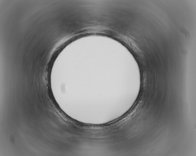 X0000112081164200909011038