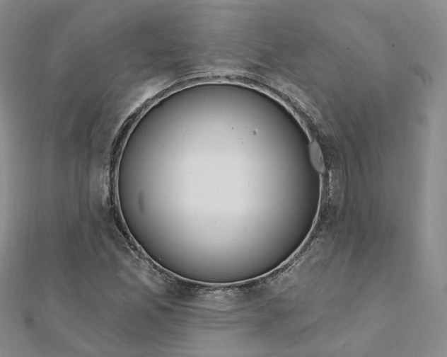X0000112081165200909011038