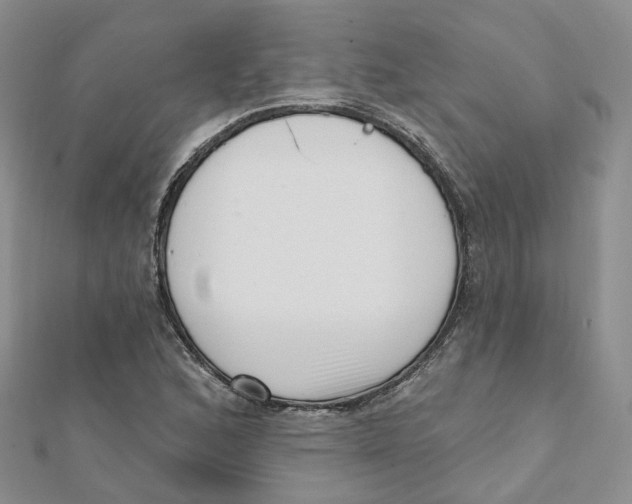 X0000112081168200909011037