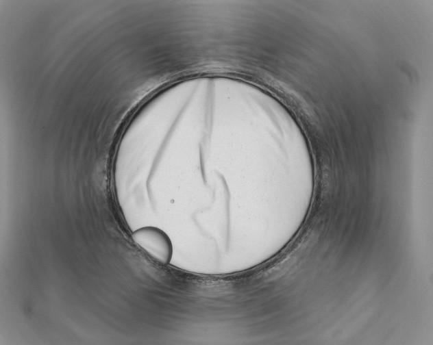 X0000112081170200909011037