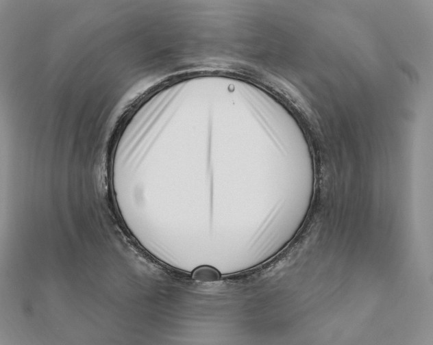 X0000112081172200909011037