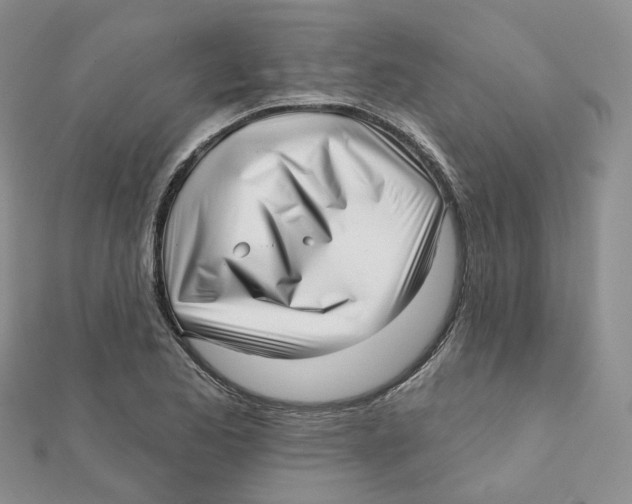 X0000112081173200909011037