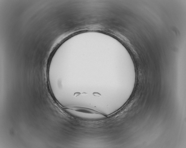 X0000112081176200909011037