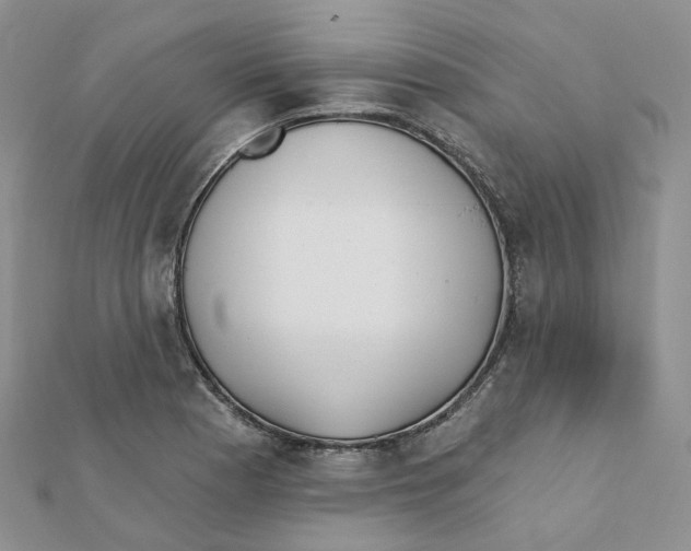 X0000112081177200909011037