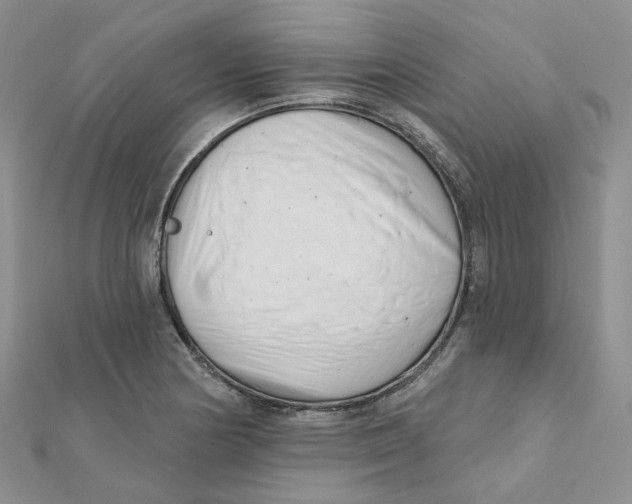 X0000112081178200909011037