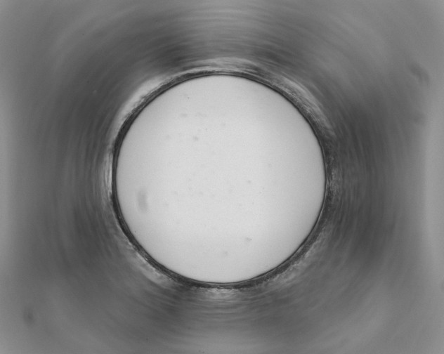 X0000112081180200909011037