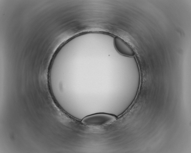 X0000112081181200909011037