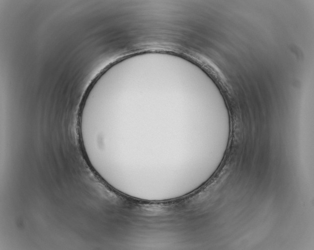 X0000112081182200909011037