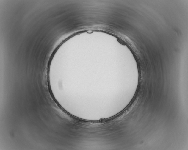 X0000112081184200909011037