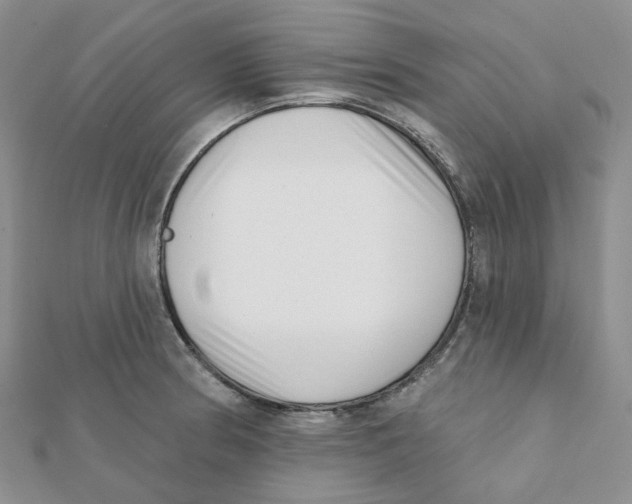 X0000112081186200909011037