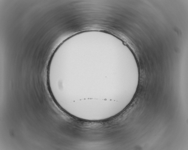 X0000112081187200909011037