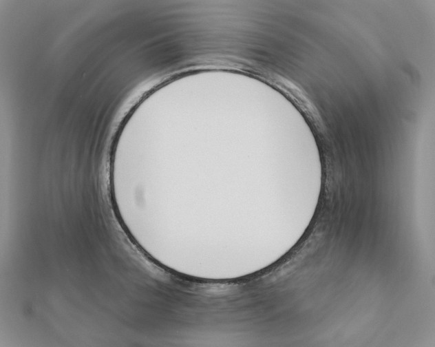 X0000112081188200909011037