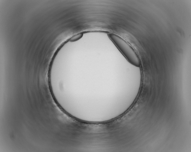 X0000112081189200909011037