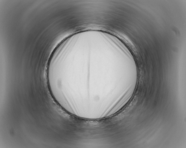 X0000112081190200909011037